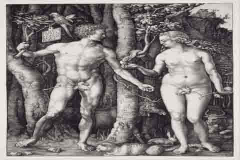 (Albrecht D¨¹rer The Fall of Man Adam and Eve