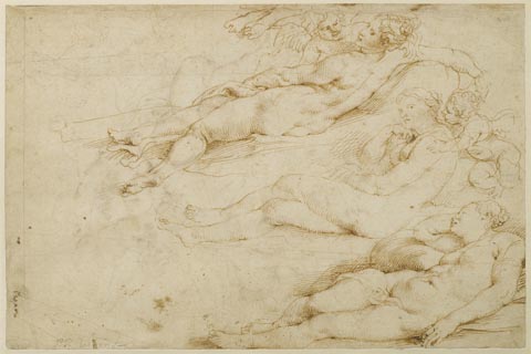 (Peter Paul Rubens - Studies of Venus, c.1618-1620)