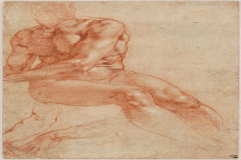 (Michelangelo Buonarroti (1475–1564)-Seated Young Male Nude and T)