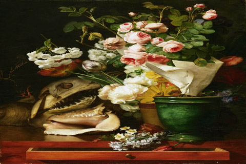 《花、贝壳和鲨鱼头》-安托万·伯戎(Antoine Berjon French 1754-1843 Still Life with Flowers Shells a Shark’s Head and Petrifications.tif)