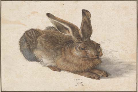 (Albrecht Dürer (1471–1528)-Hare, 1502)