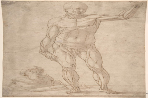 (Anonymous Study of Anatomy A Youth Drawing an Ecorch?of a Standing Man)
