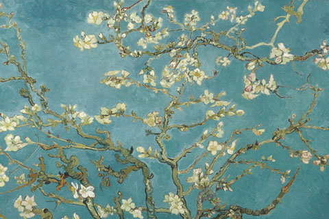 《开花的巴旦杏树枝》-文森特·威廉·梵高(开花的巴旦杏树枝-文森特·威廉·梵高-荷兰)