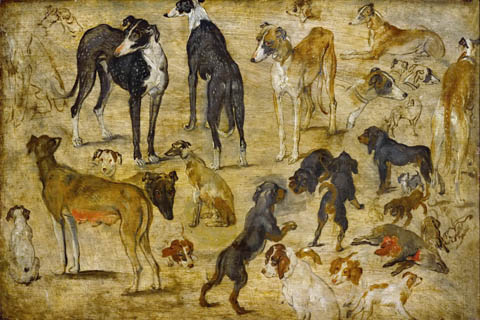 (Brueghel, Jan The Elder (1568-1625) -- Эскиз собак)